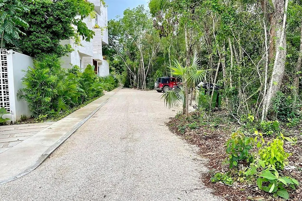 The Jungle Complex Experience Tulum Studio 525 Mexique